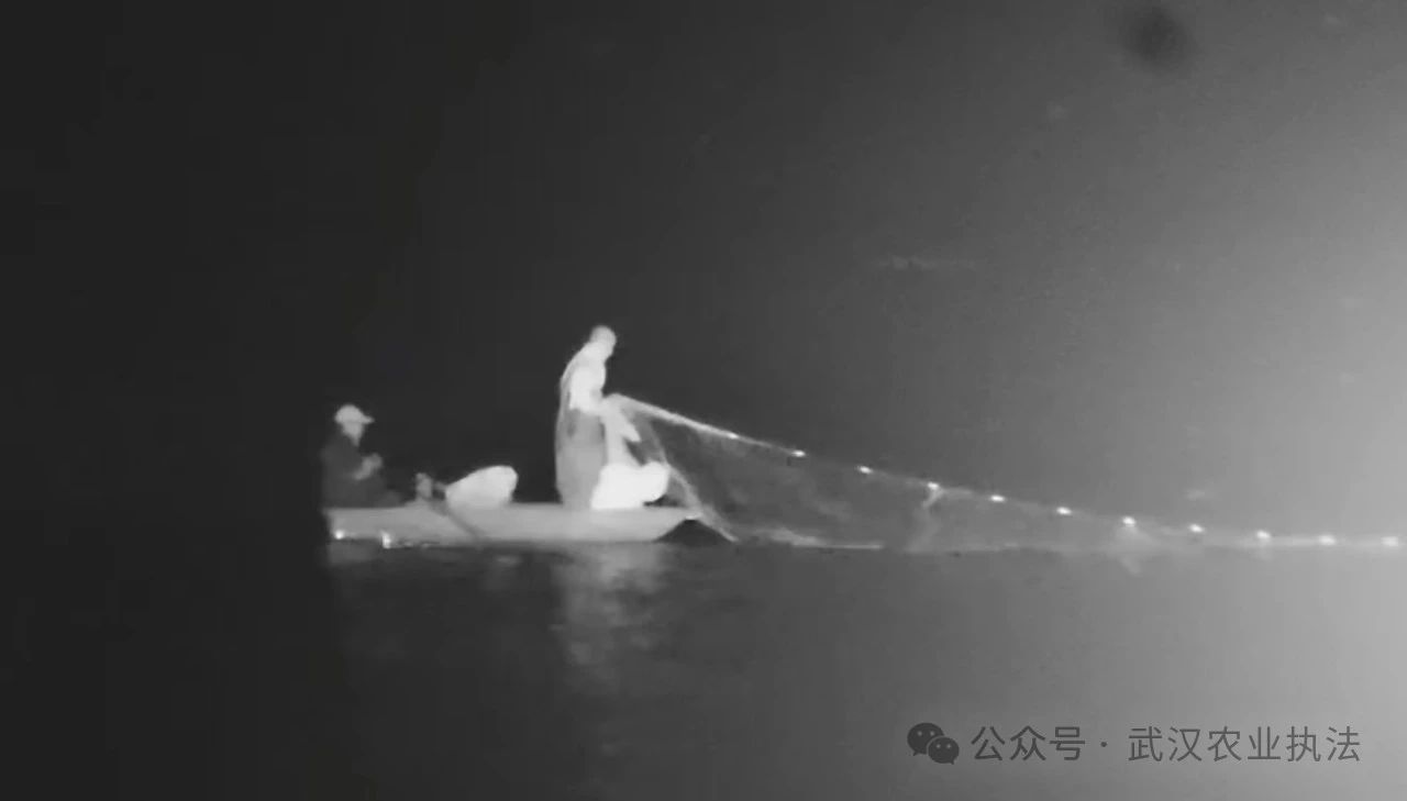 过年，趁夜色偷捞一网江鱼没事？渔政天眼：你想多了