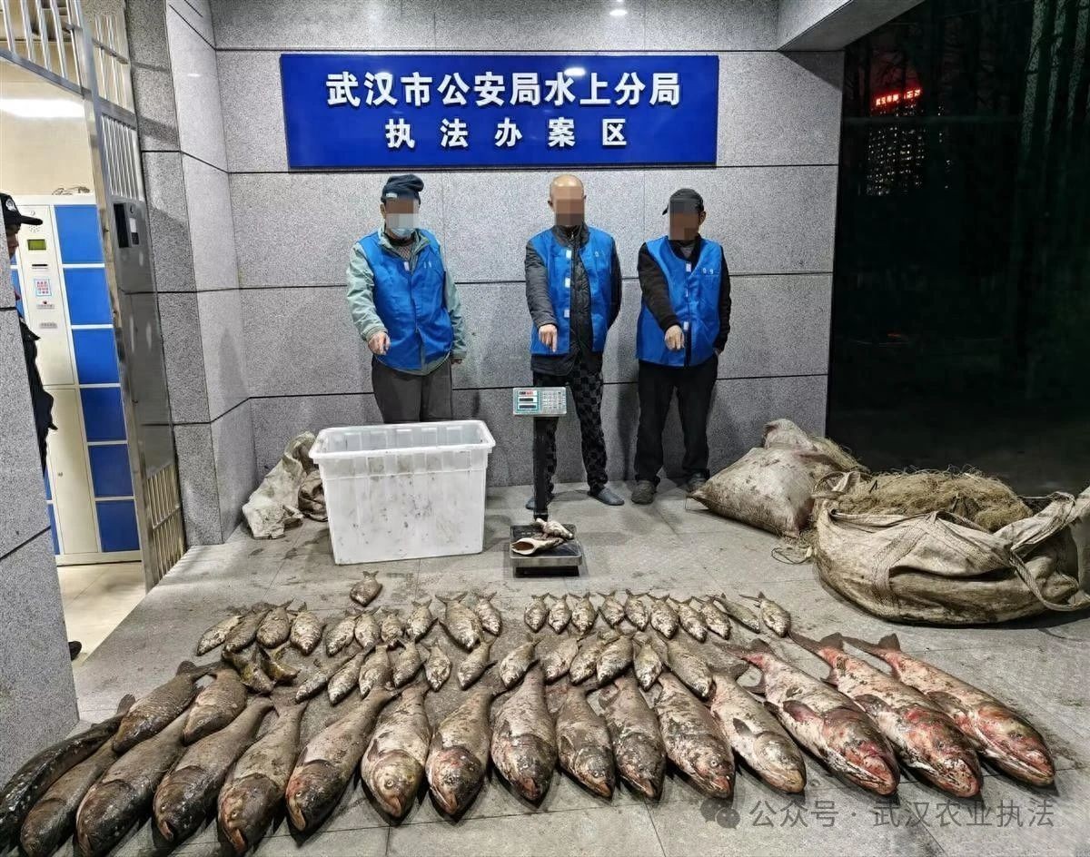 非法捕捞水产品93公斤，3男子被采取刑事强制措施