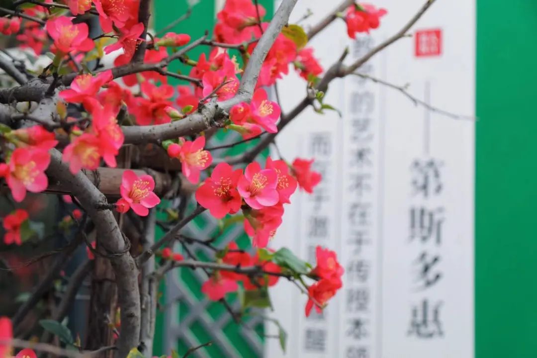 春满王府,桃李芬芳——请您查收成都王府二月校长来信 春满王府,桃李芬芳——请您查收成都王府二月校长来信