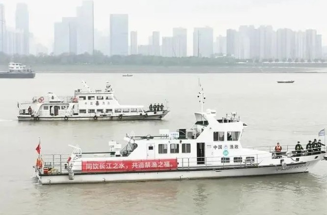长江十年禁渔，湖北三年成绩单来了！
