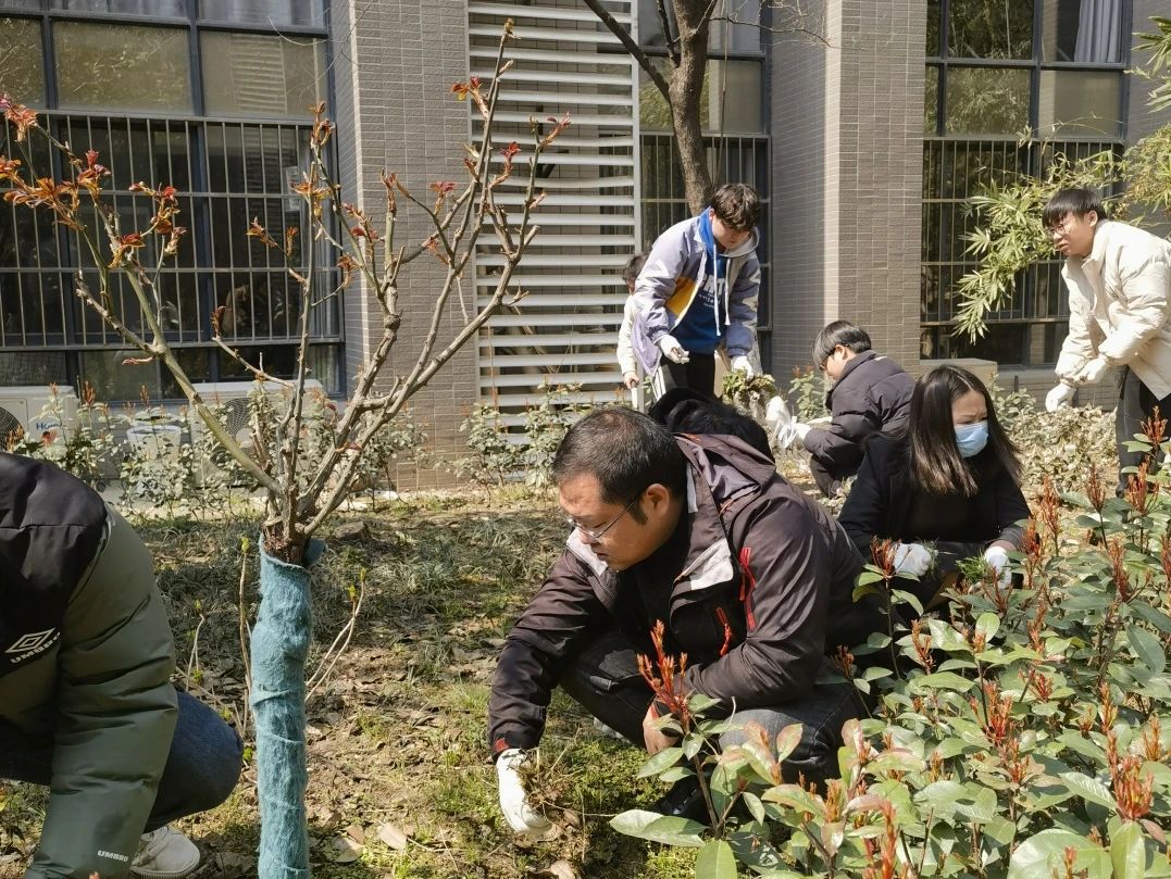 护绿意 筑梦想丨坤达安党支部植树节特别行动