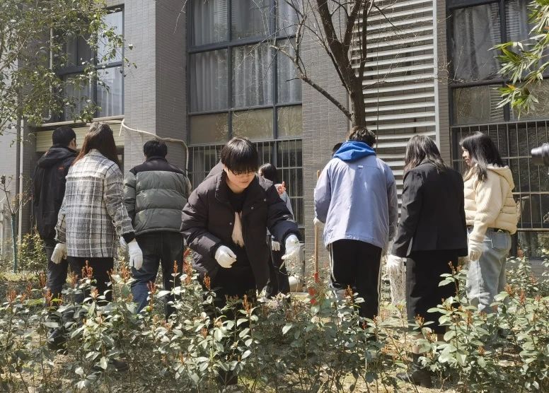 护绿意 筑梦想丨坤达安党支部植树节特别行动