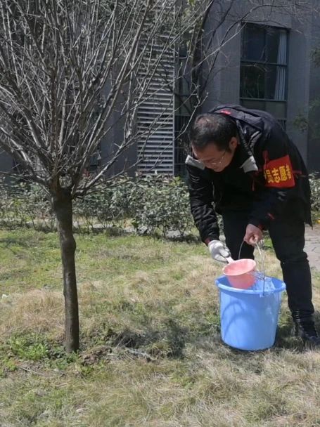 护绿意 筑梦想丨坤达安党支部植树节特别行动
