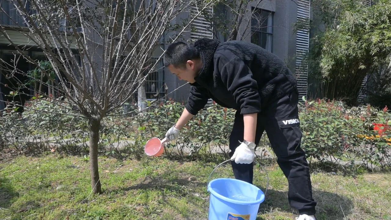 护绿意 筑梦想丨坤达安党支部植树节特别行动