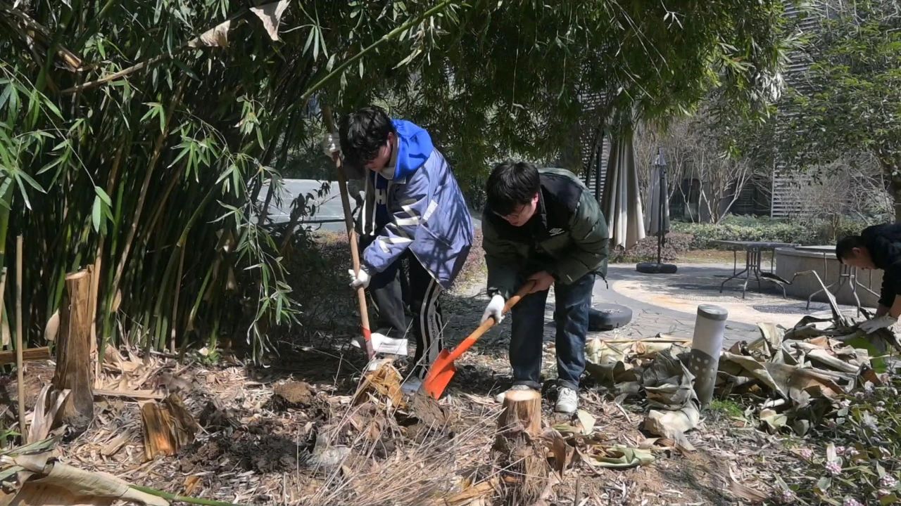 护绿意 筑梦想丨坤达安党支部植树节特别行动