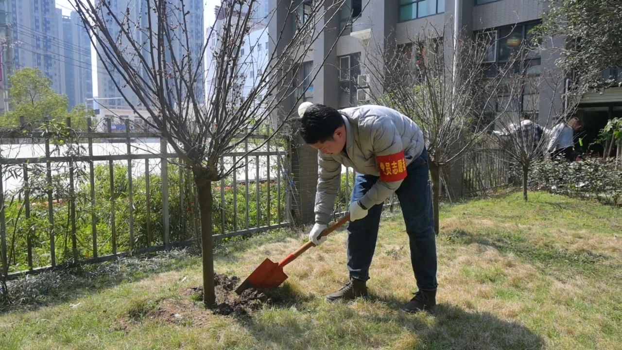 护绿意 筑梦想丨坤达安党支部植树节特别行动