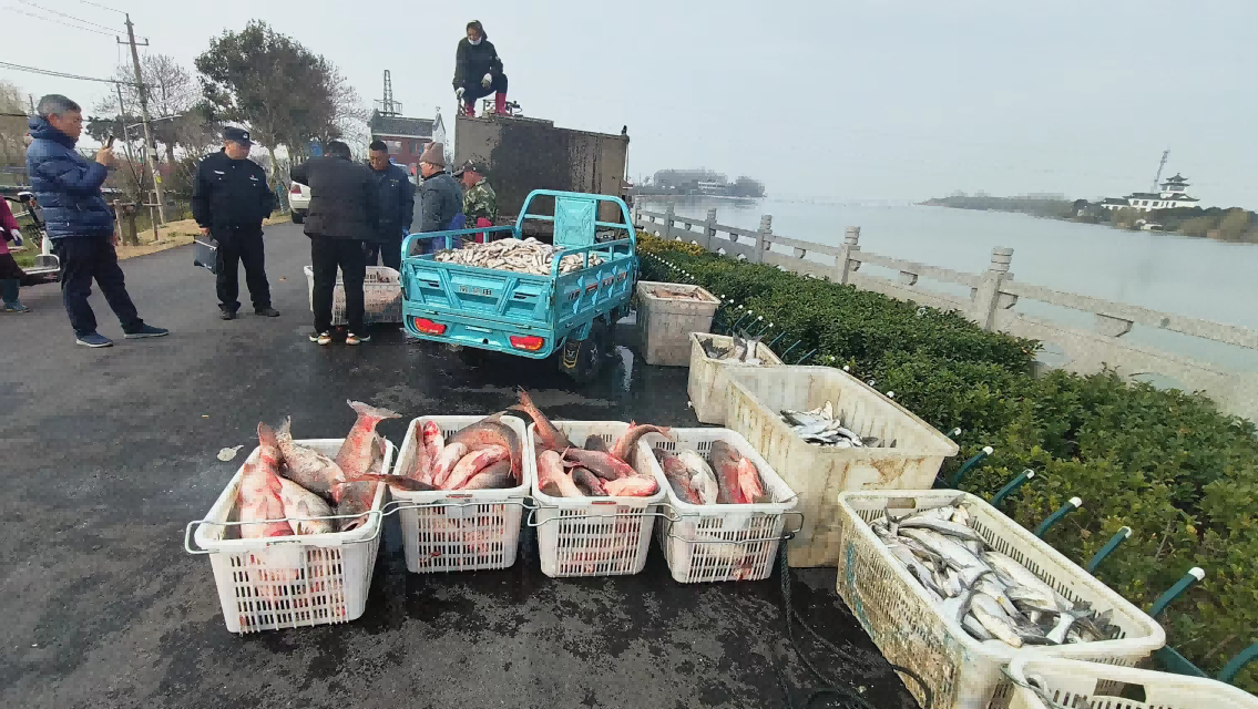 江苏洪泽湖：破获禁渔期首例非法电鱼案