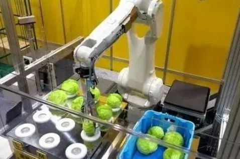 3D视觉引导机器人在食品包装行业的定位与抓取 3D视觉引导机器人在食品包装行业的定位与抓取