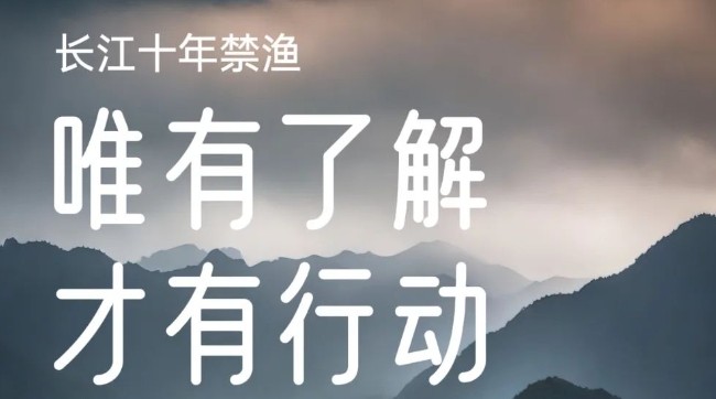 浅谈春季禁渔和十年禁捕