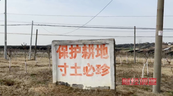 央视曝光！耗资超800万元建高标准农田，两年后改建光伏电站！