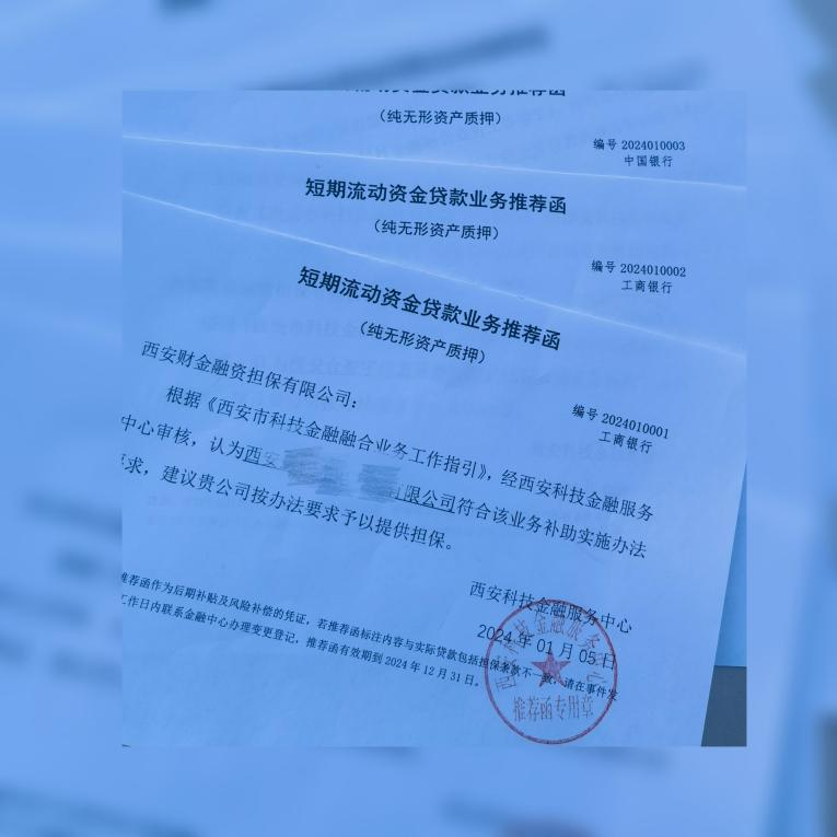 助企纾困春风暖  扬帆奋进拓新局 ——西安财金担保启动2024年一季度“春风暖企”行动