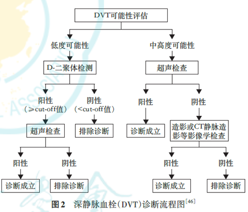 指南解读 | D-二聚体实验室检测与临床应用专家共识