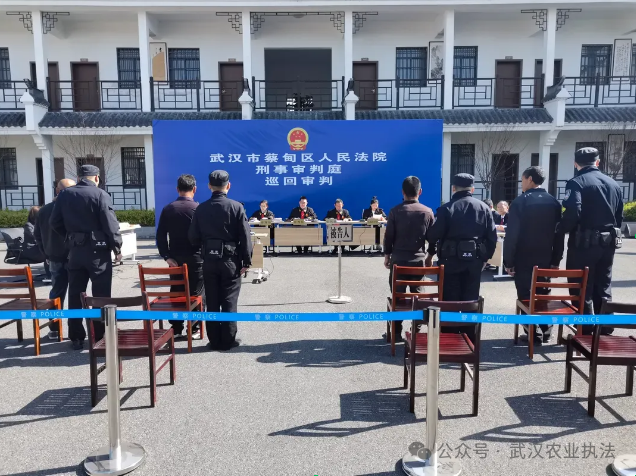 严惩违法捕鱼！捕鱼人变“补鱼人”