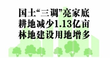 不懂“三调”，难懂中国