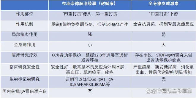 布地奈德缓释胶囊(Nefecon)在IgA肾病的应用 布地奈德缓释胶囊(Nefecon)在IgA肾病的应用