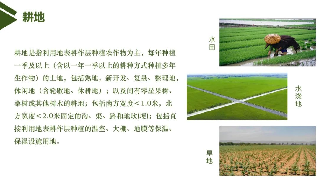 耕地可以种什么？你想知道的都在这里！