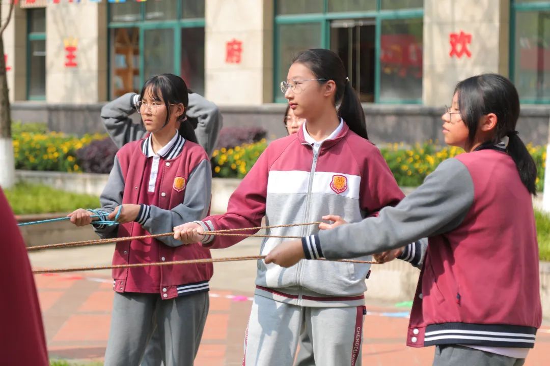 春光无限好，王府“趣”运动——成都王府第四届趣味运动会圆满举行