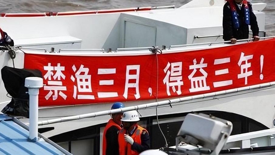 坚定不移推进长江十年禁渔 奋力谱写长江大保护新篇章