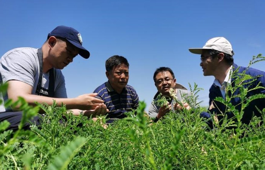 青海将150种藏医医疗机构中药饮片纳入医保支付范围