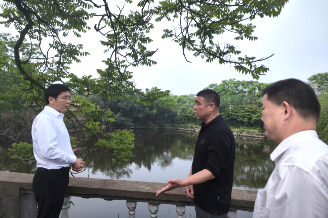 市生态环境局调研小流域综合治理相关工作