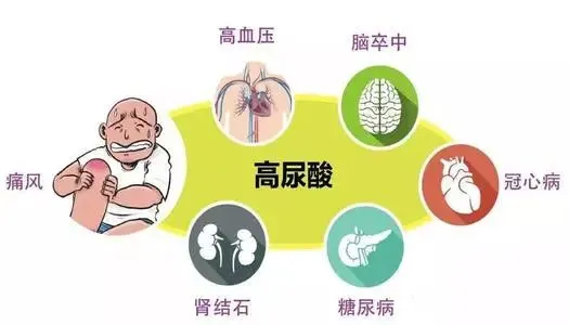 世界痛风日|你的痛我懂,但不止痛这么简单 世界痛风日|你的痛我懂,但不止痛这么简单