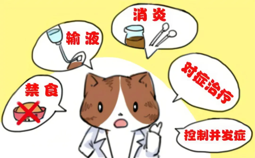大众科普|来势汹汹的急性胰腺炎,您了解吗? 大众科普|来势汹汹的急性胰腺炎,您了解吗?