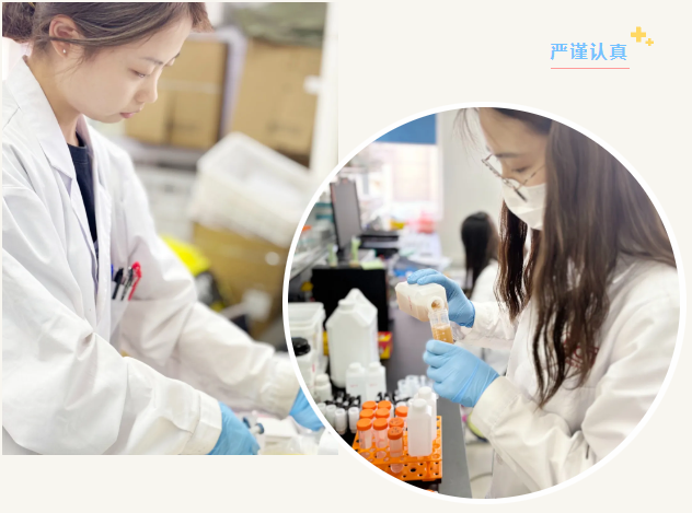 【劳动节快乐】红龙扑克生物五一特刊：员工团结一心，共创美好未来
