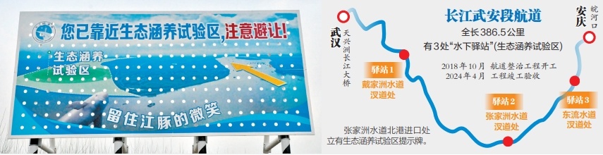 生态宜居|“水上高速”长江武安段船来船往 万吨巨轮下留出一条鱼儿“绿道” 生态宜居|“水上高速”长江武安段船来船往 万吨巨轮下留出一条鱼儿“绿道”