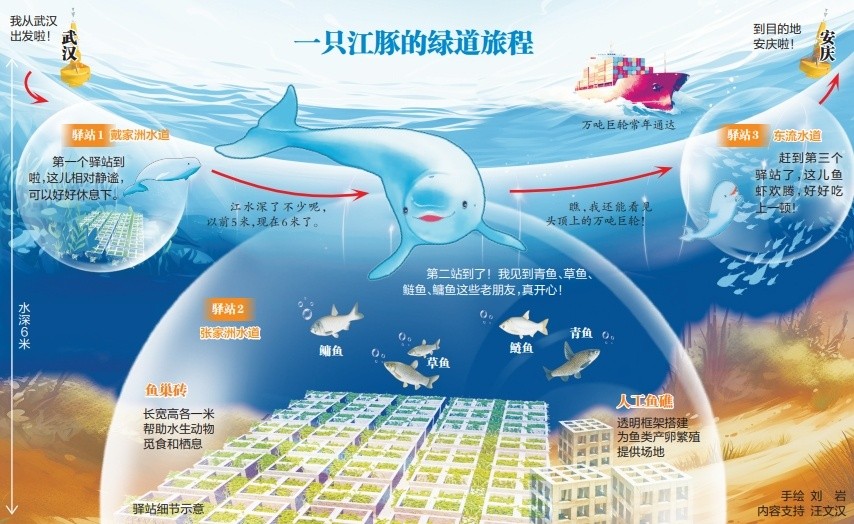 生态宜居｜“水上高速”长江武安段船来船往 万吨巨轮下留出一条鱼儿“绿道”