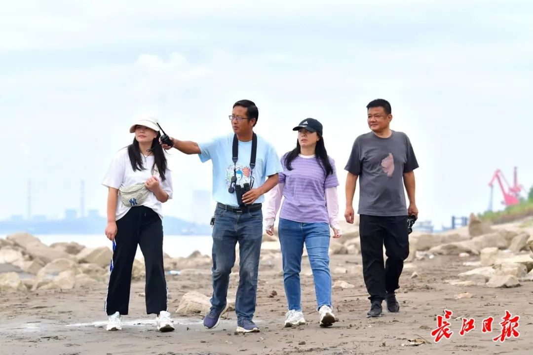 砂石码头拆了截污并禁渔，武汉迎来首个“江豚湾”
