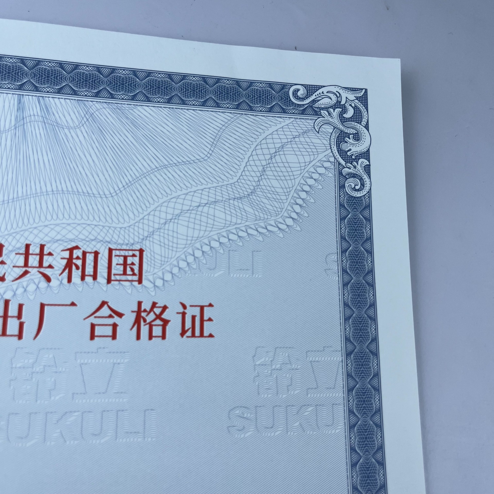 120g安全線水印紙凹凸印刷新國標(biāo) 機(jī)動(dòng)車整車出廠合格證 一致性證書 