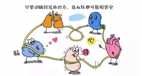 世界高血压日|预防高血压,从每一天做起 世界高血压日|预防高血压,从每一天做起