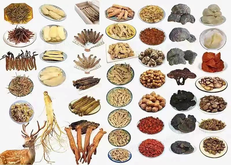 食品药材 食品药材