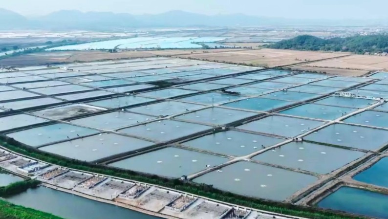 2024年6月全国水产养殖病害预测预报