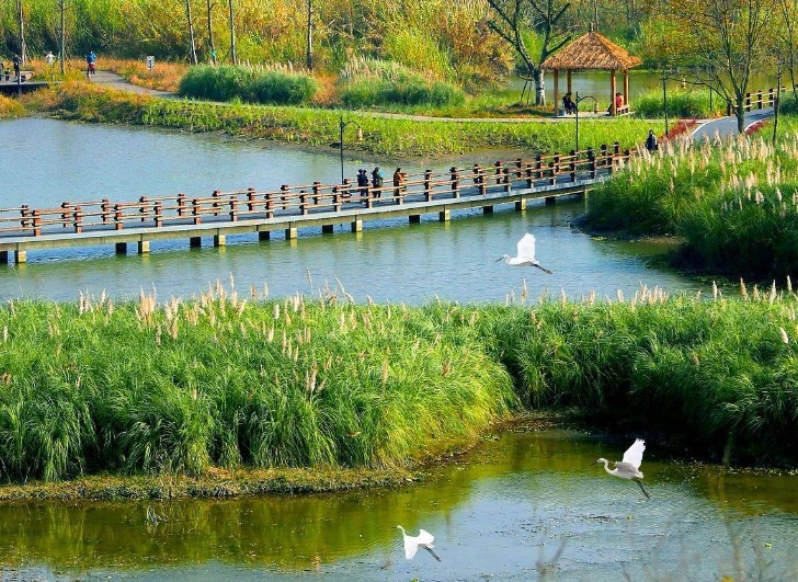 湖北省委常委会召开会议 传达学习习近平总书记重要讲话重要指示精神