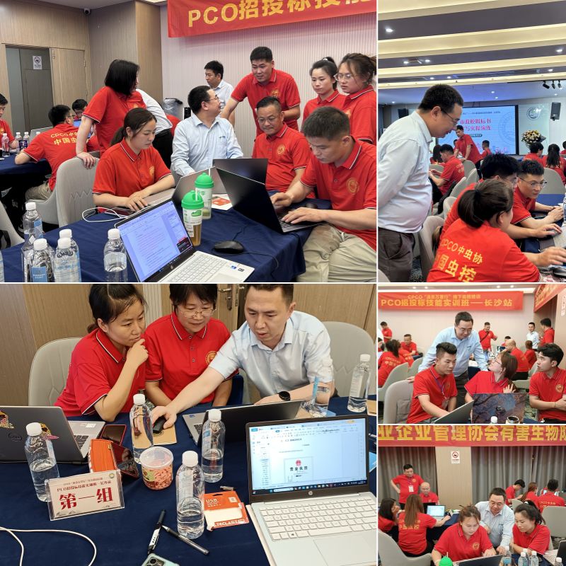 智汇长沙,共筑招投标新篇章——长沙PCO招投标实训班圆满落幕! 智汇长沙,共筑招投标新篇章——长沙PCO招投标实训班圆满落幕!