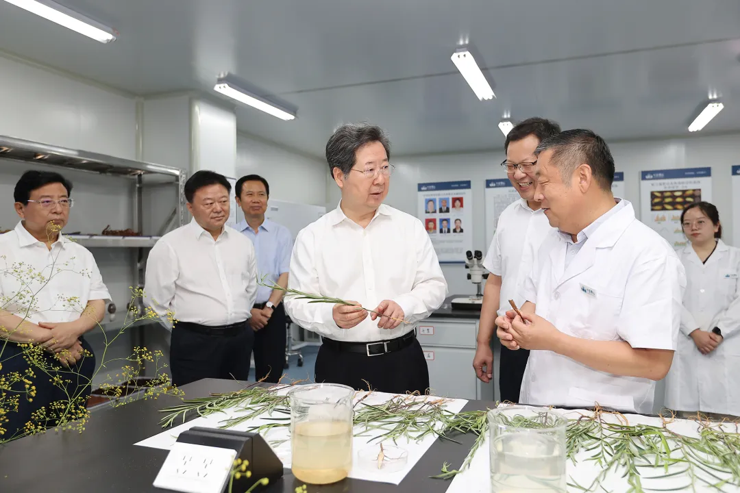省委书记楼阳生到洛阳市部分县区调研