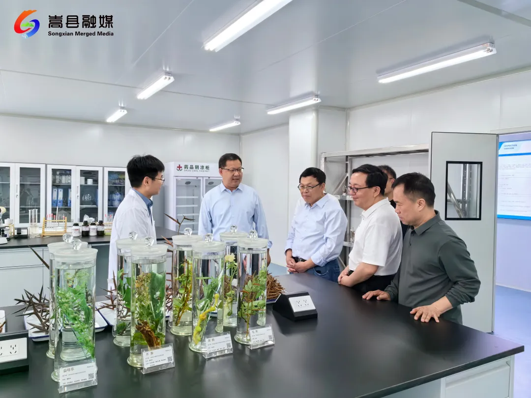 海外院士到“中原药谷”科创园考察 海外院士到“中原药谷”科创园考察