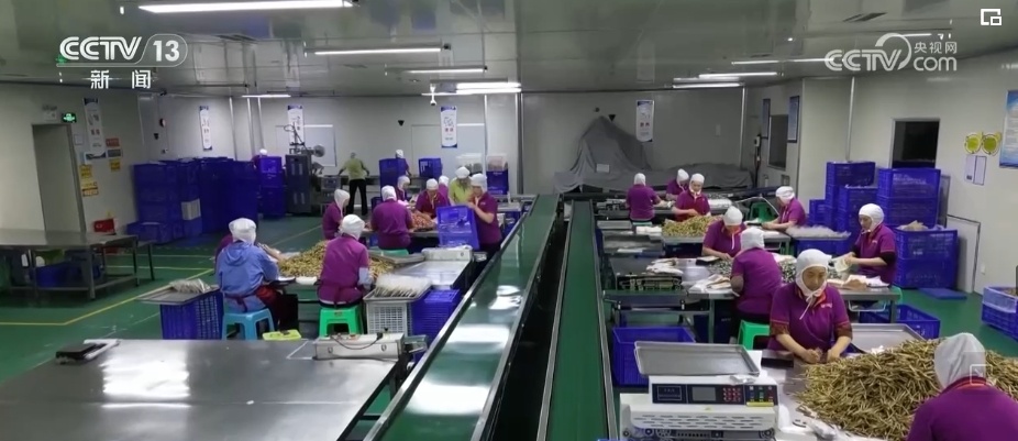 跨境物流+跨境電商+外貿(mào)驛站” “真金白銀”護(hù)航中小微電商企業(yè)“出海 跨境物流+跨境電商+外貿(mào)驛站” “真金白銀”護(hù)航中小微電商企業(yè)“出海
