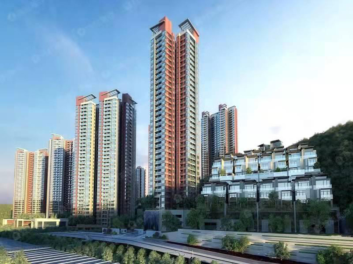 深圳分公司 深圳分公司