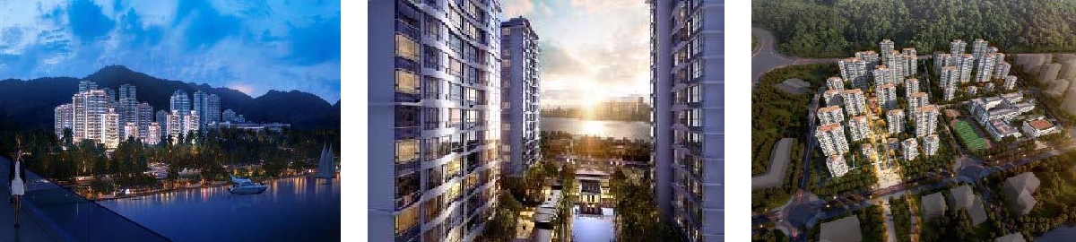 深圳分公司 深圳分公司