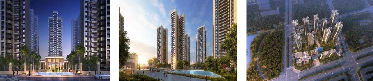 深圳分公司 深圳分公司