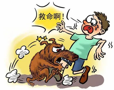 大众科普|被狗咬伤后不容忽视,需这样处置 大众科普|被狗咬伤后不容忽视,需这样处置