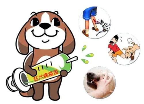 大众科普|被狗咬伤后不容忽视,需这样处置 大众科普|被狗咬伤后不容忽视,需这样处置