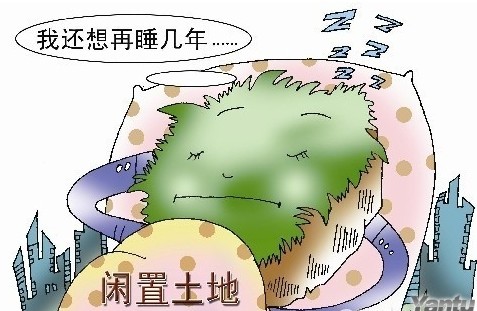 ​自然资源部出台政策，部署开展妥善处置闲置存量土地有关工作