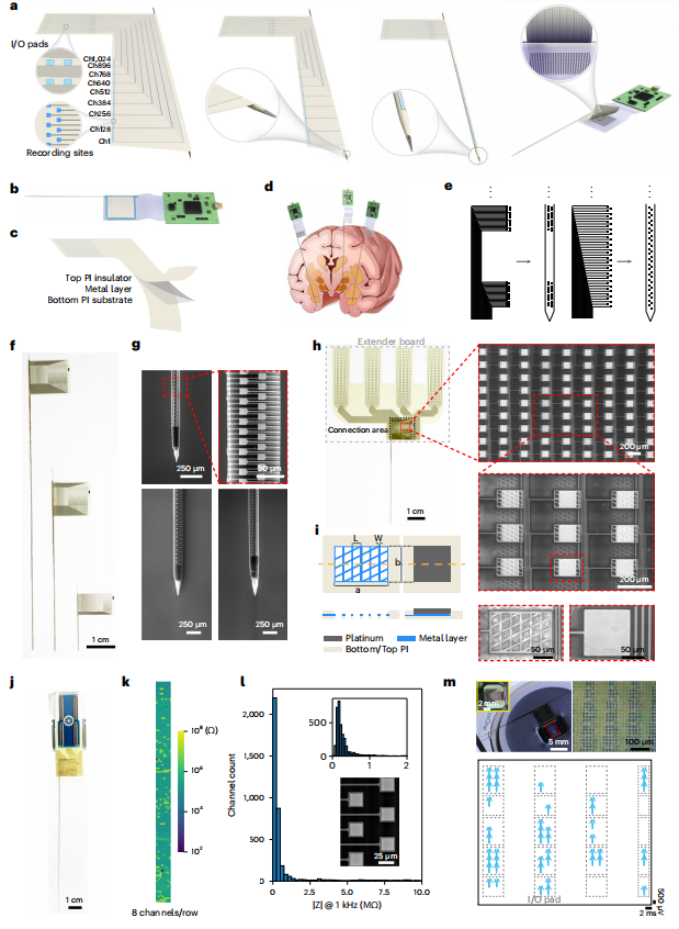 【Nature子刊】Brainsight智能动物手术机器人帮助科学家实现猕猴全脑神经活动监测 【Nature子刊】Brainsight智能动物手术机器人帮助科学家实现猕猴全脑神经活动监测