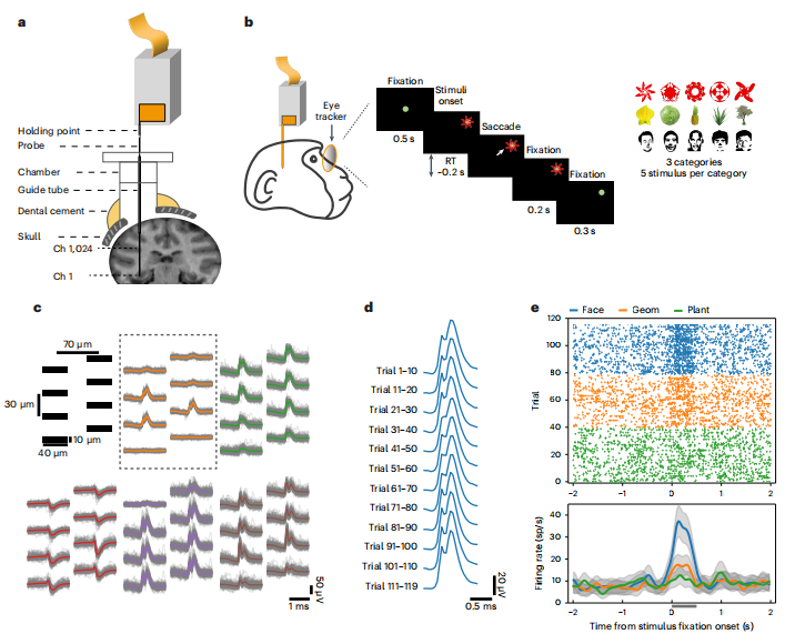 【Nature子刊】Brainsight智能动物手术机器人帮助科学家实现猕猴全脑神经活动监测 【Nature子刊】Brainsight智能动物手术机器人帮助科学家实现猕猴全脑神经活动监测