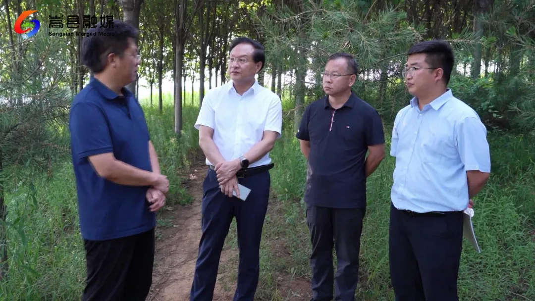 洛阳市政府调研组到嵩县调研 洛阳市政府调研组到嵩县调研