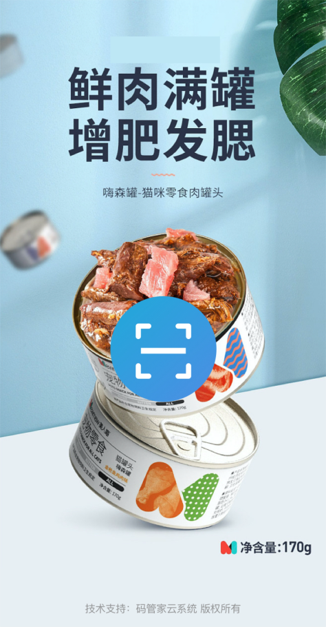 模板4