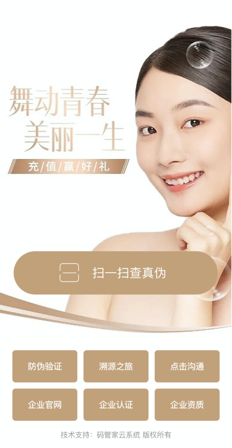 模板5
